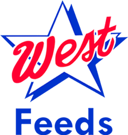west-logo-colour.webp